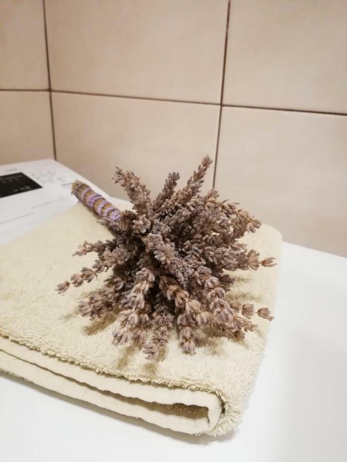 Apartman Jela Šibenik Exteriér fotografie